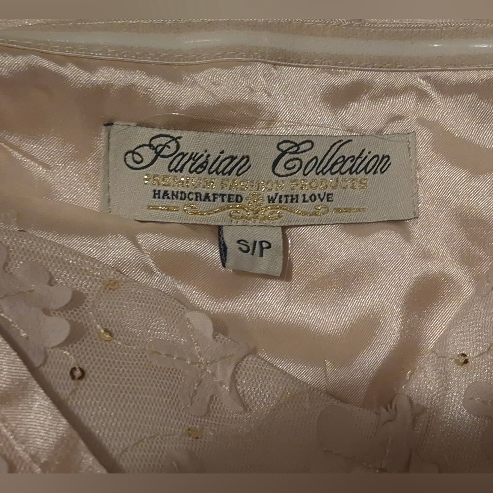 Parisian Collection Lace & Tulle Party Dress — Blush Champagne (Size S/P) - Picture 7 of 7